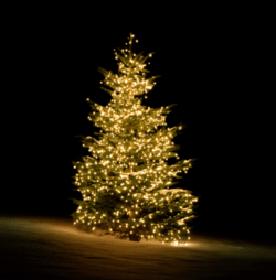 Deltaco juletræsbelysning, 300 varmhvide LED, APP styret