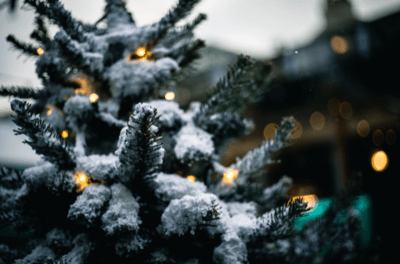 Deltaco juletræsbelysning, 300 varmhvide LED, APP styret