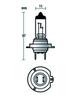 Forlygtepære H7, 55W
